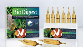BioDigest (1 ampola)
